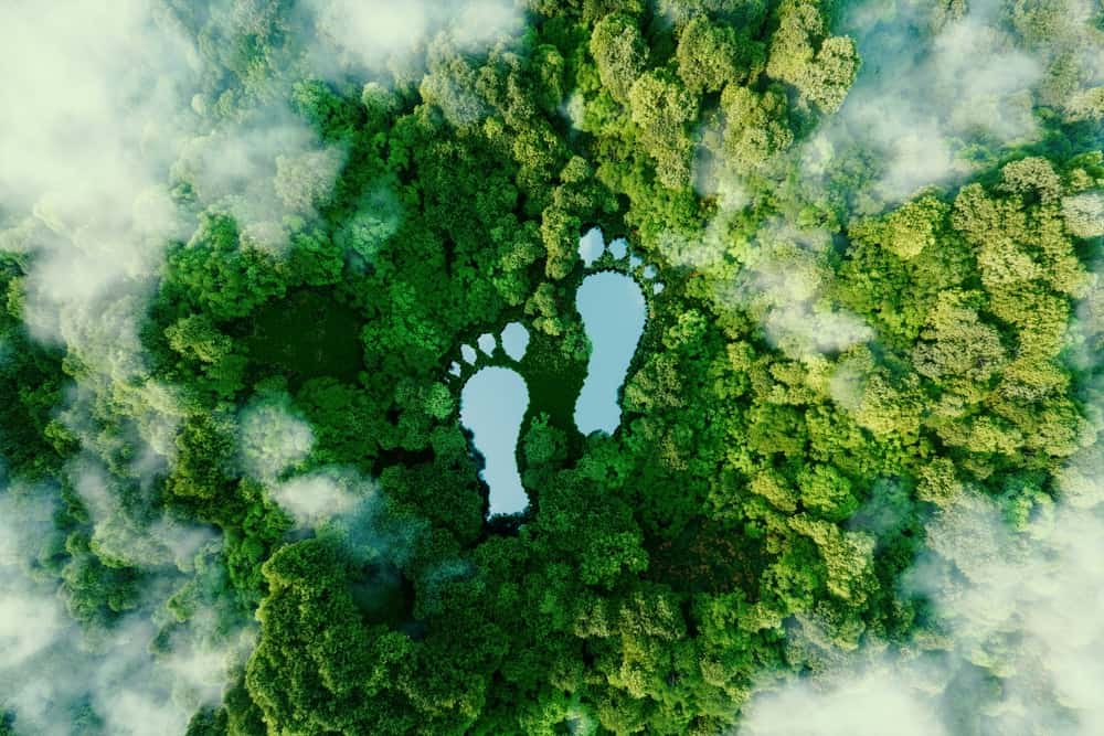 A,Lake,In,The,Shape,Of,Human,Footprints,In,The
