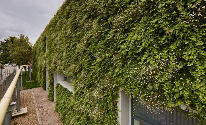 01 ESG Times: Due Diligence and Risk Readiness